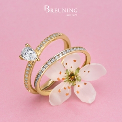 Breuning Solitaire